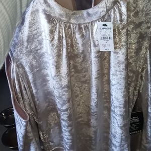 Express brand Long sleeve beige velvet dress